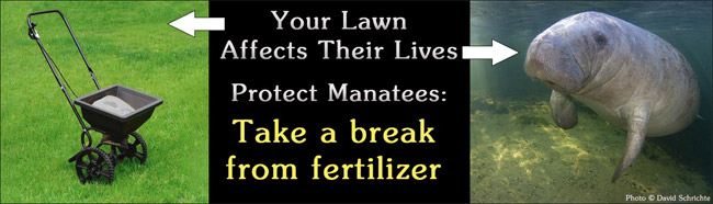 Your lawn affects their lives. Take a break from fertilizer.