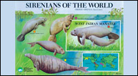 Sirenians of the World poster