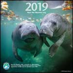 2019 Manatee Wall Calendar