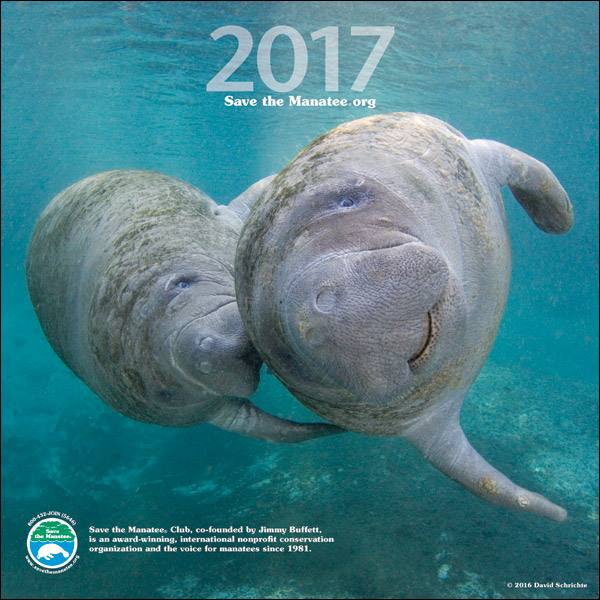 2017 Manatee Wall Calendar