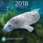 2018 Manatee Wall Calendar