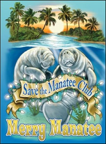 Save the Manatee Club 2015 Holiday Card