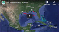 manatee migration map