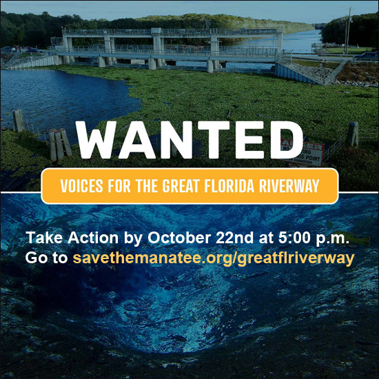 Wanted: Voices for the Great Florida Riverway
