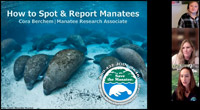 How to spot and report an injured manatee webinar