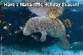 Have a Mana-riffic Holiday Season