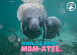 World's Best Mom-atee