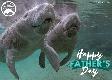 Happy Father's Day