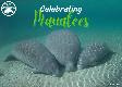 Celebrating Manatees