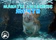 Manatee Awareness Month